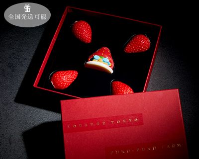 ぷくぷく いちご ショコラ